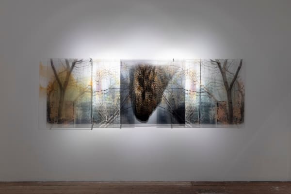 Janet Laurence, Planetary Gardening from the Terrestrial to the Celestial, 2024