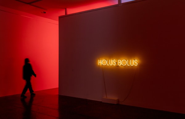 Tina Havelock Stevens, Holus Bolus, 2021