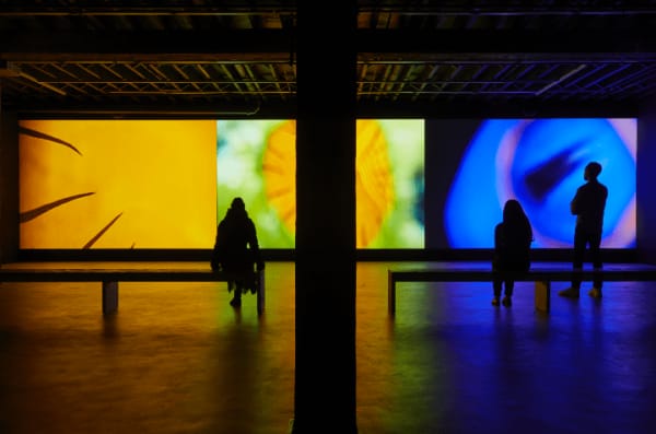 Mel O’Callaghan, Centre of the Centre, 2019