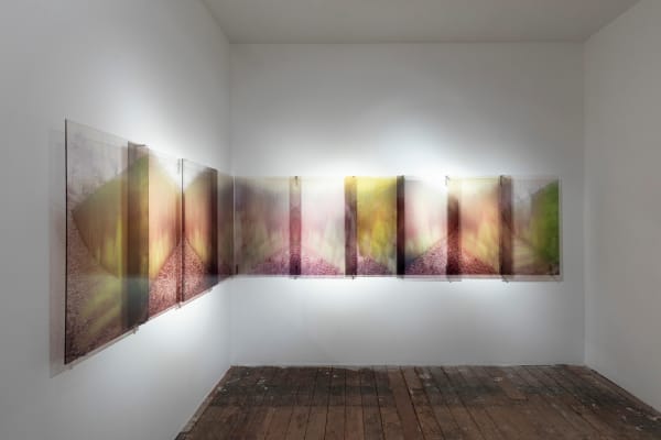 Janet Laurence, Minerals depositing (after Serra), 2004