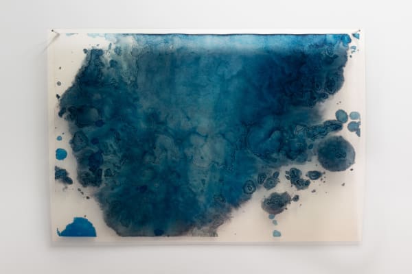 Janet Laurence, Ice has a memory , 2022