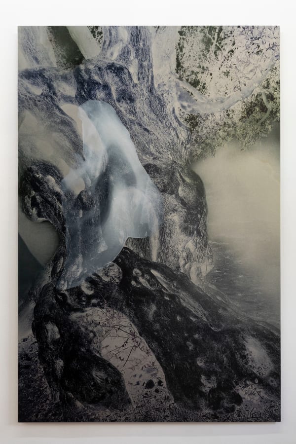 Janet Laurence, The Language between Trees II, 2024