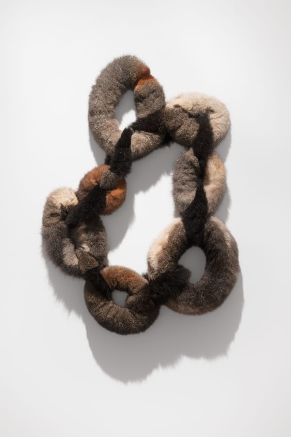 Juanita McLauchlan, mudhay nhiigiliirr/possum, 2023