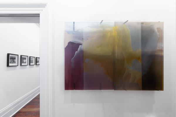 Janet Laurence, planetary gardening reflected , 2020