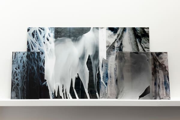 Janet Laurence, Growing Memory, 2024