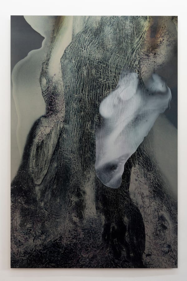 Janet Laurence, The Language between Trees I, 2024