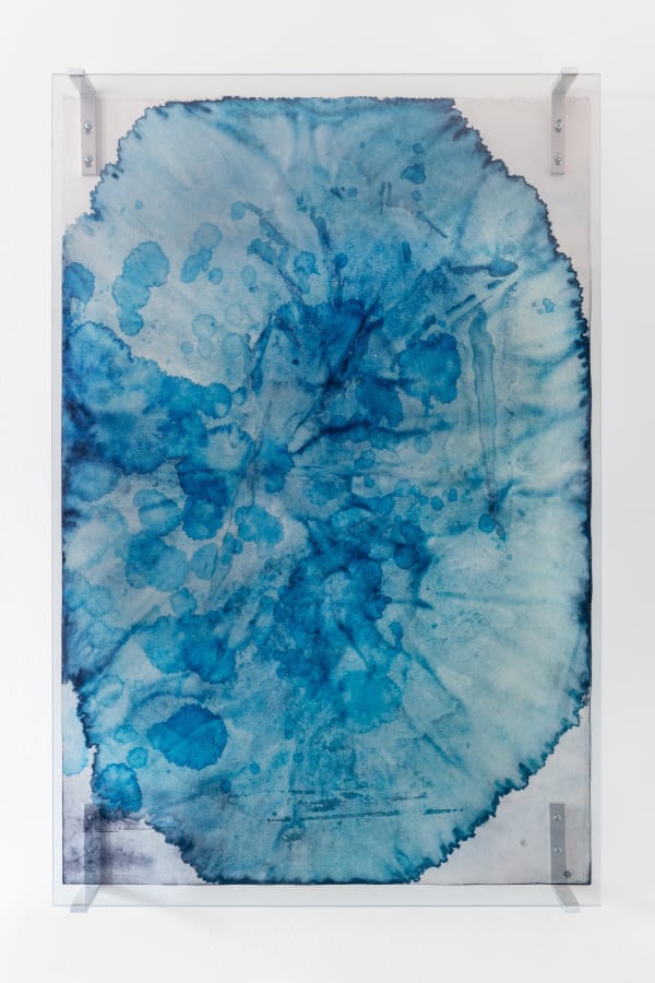 Janet Laurence, The depth in ice is blue, 2022