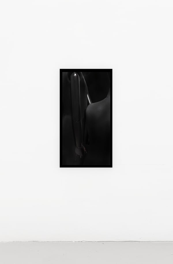 Louisa Clement, Gliedermensch 18, 2017