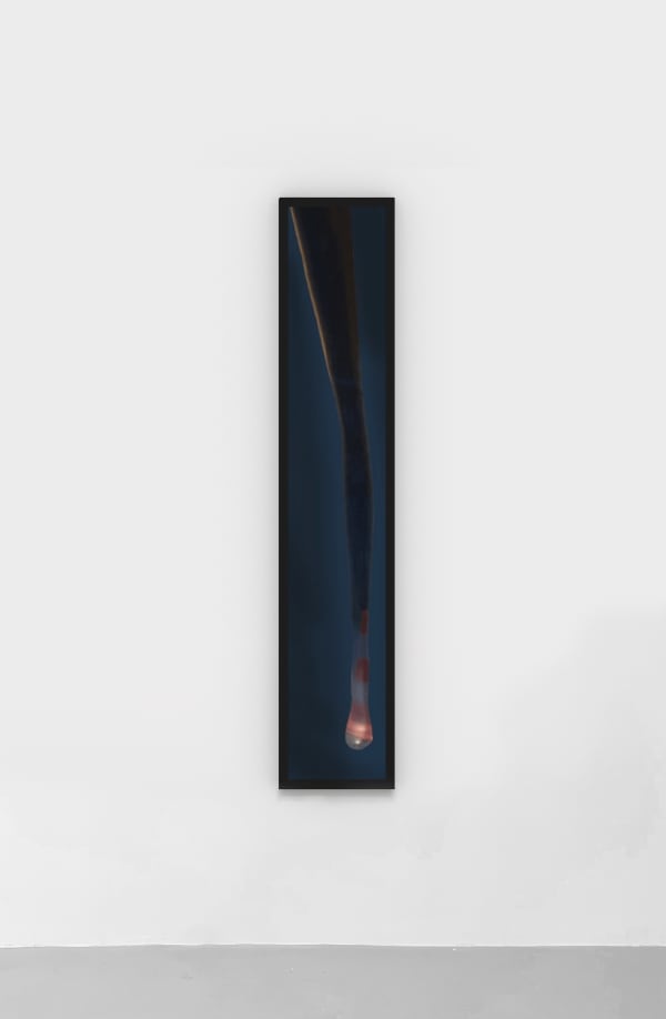 Louisa Clement, Disruption 4, 2018