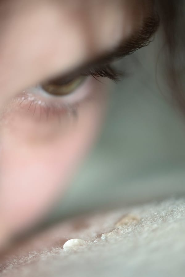 Martina Zanin, Tears of rage, 2021