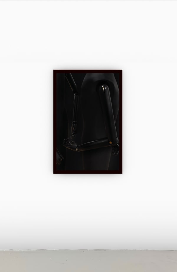 Louisa Clement, Gliedermensch 20, 2017