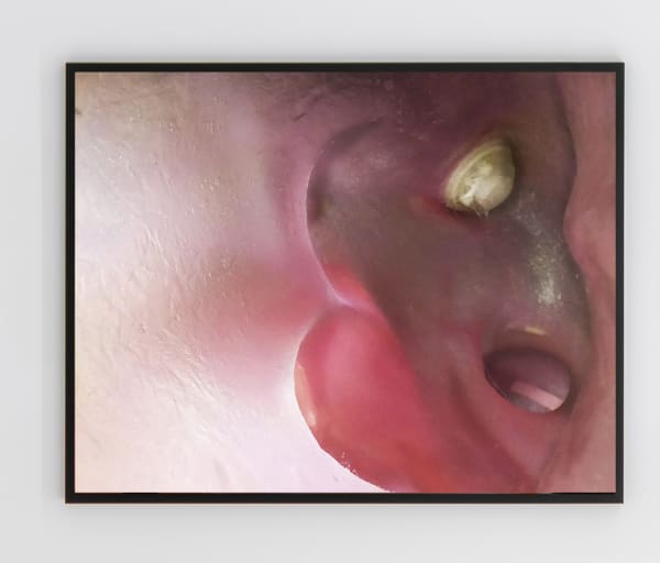 Louisa Clement, Inside 1, 2020