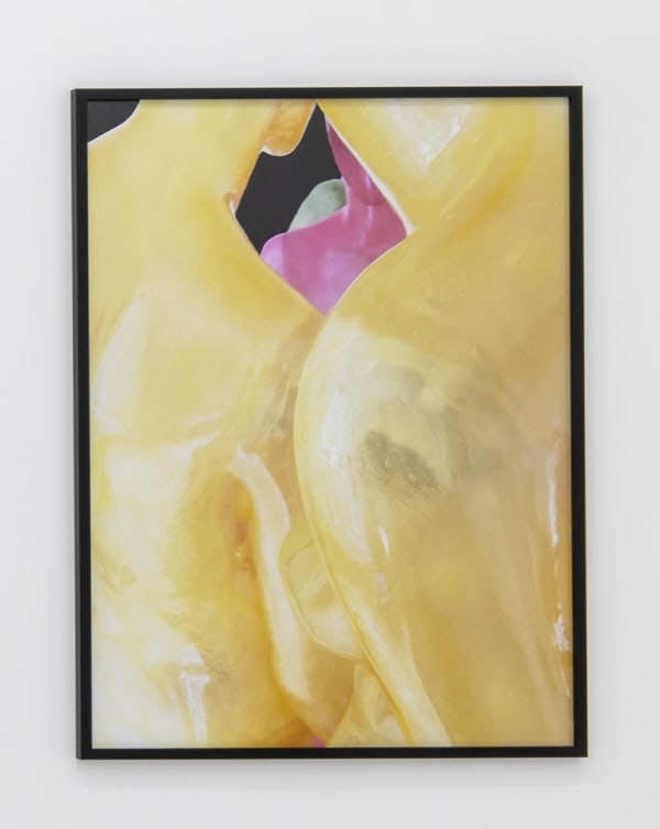 Louisa Clement, Avatar 8, 2016