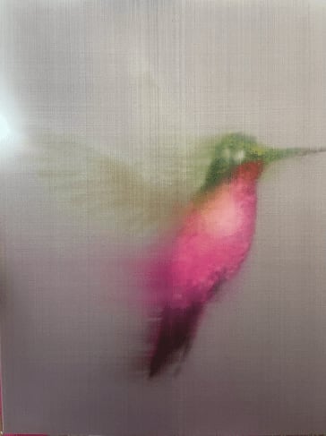 Silver Pink Hummingbird, 2021