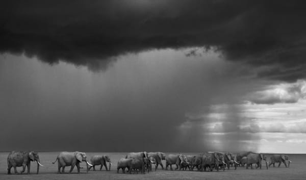 The Gathering Storm