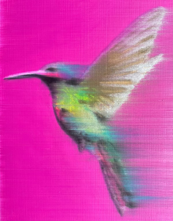 Hot Fuchsia Hummingbird, 2020