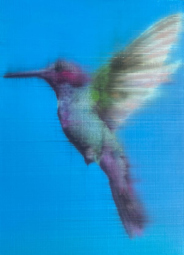 Royal Blue Hummingbird, 2021