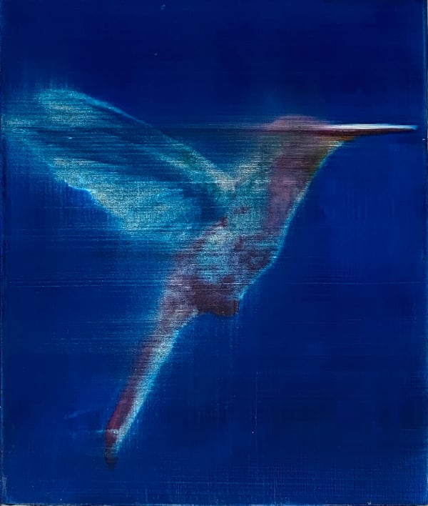 Dark Blue Hummingbird, 2020