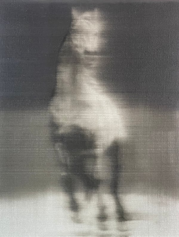 Night Horse, 2013