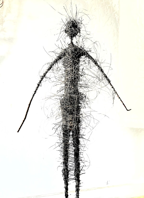 Wire Figure