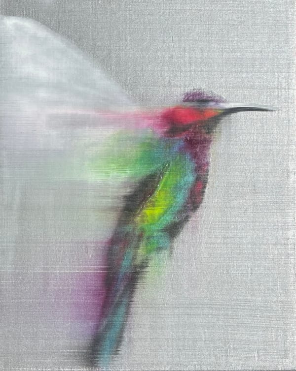Silver Multicolor Hummingbird, 2020