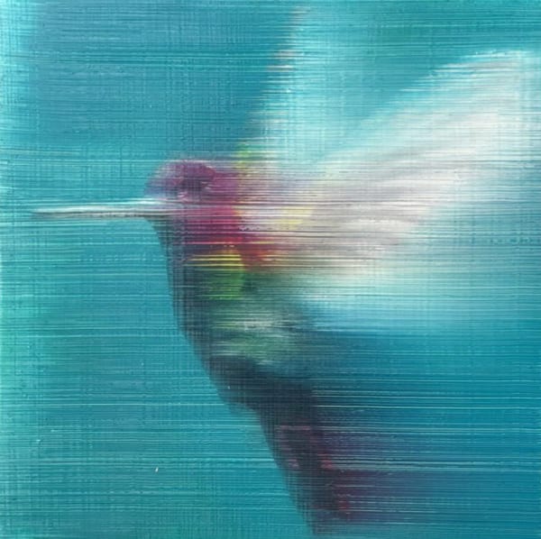 Teal Hummingbird, 2021