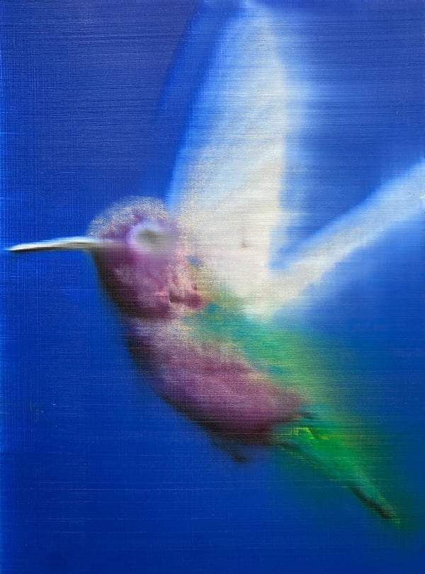 Purple with Green Tail Hummingbird, 2022