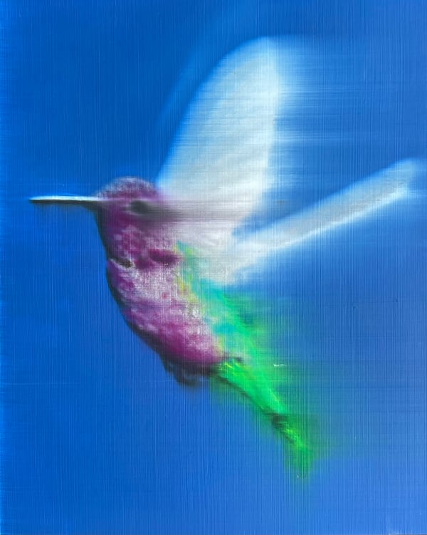 Green Tail Hummingbird, 2021