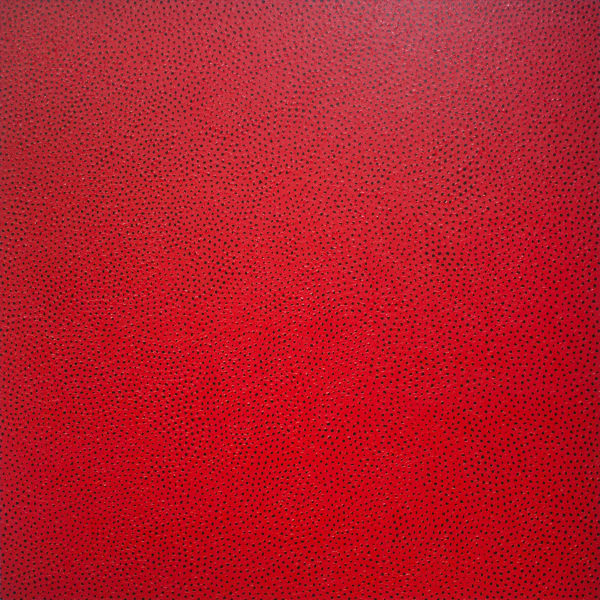 Infinity-Nets (I.N. PQR)