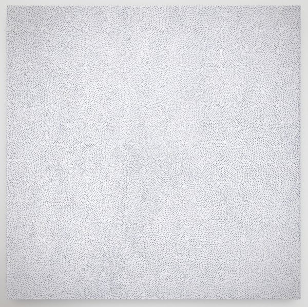 Infinity-Nets (QASTW)