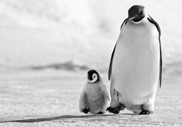 Father and Son