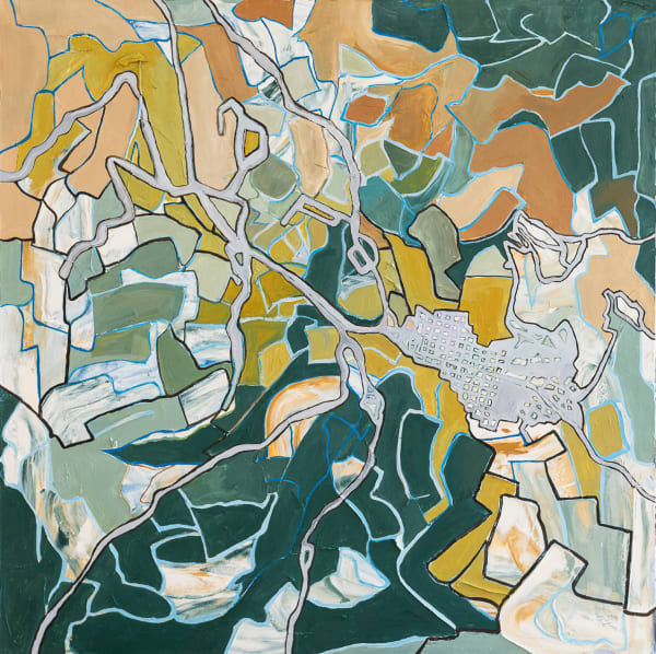Aspen From a Bird's Eye View