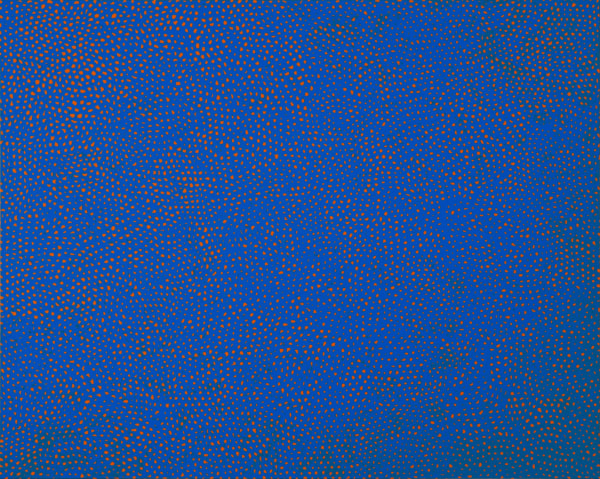 Infinity Nets [RBKT]