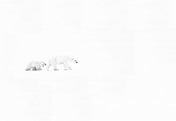 White Out