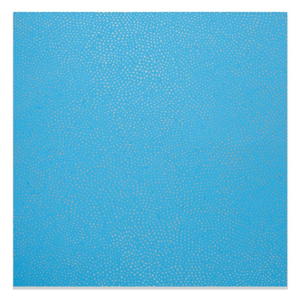 Infinity-Nets (OTWHON)