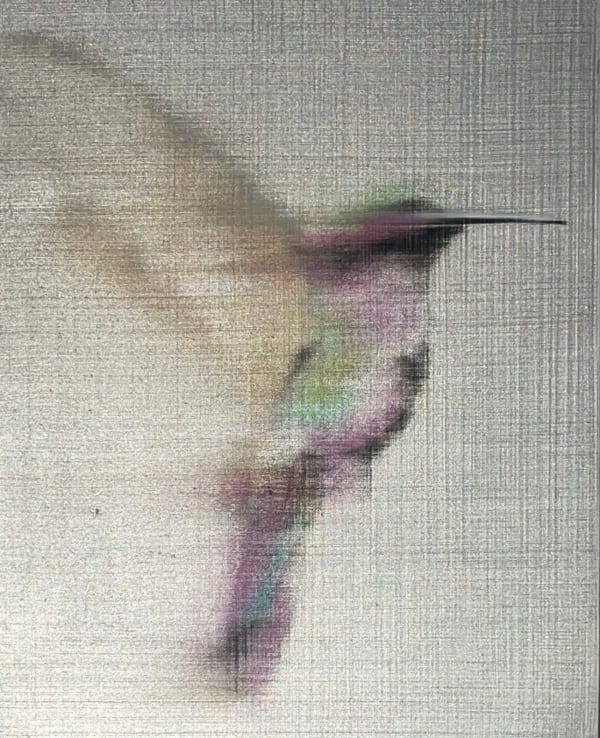 Silver Lavender Hummingbird, 2020