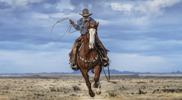 True Grit (Colour)
