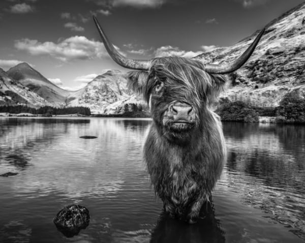 Glen Etive