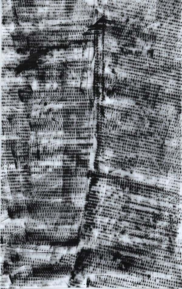 Cate Wind, Tracing 8, 2022