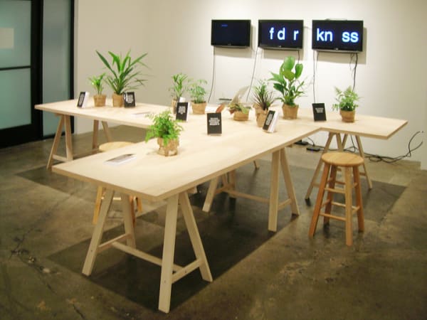 Stephanie Syjuco, Phantoms (h__rt _f d__kn_ss) (installation), 2011