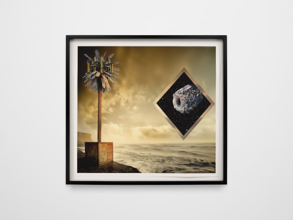 Andy Diaz Hope, Near Distance with Palm Tree, 2025