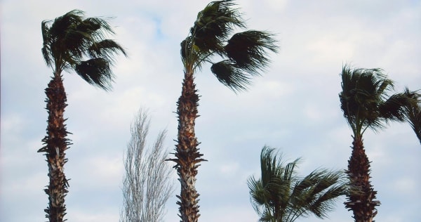 Lenka Clayton, The Wind, 2024