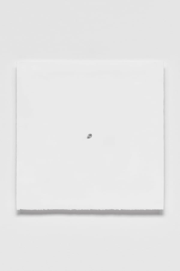 Katherine Vetne, Patrimony (Study II), 2015