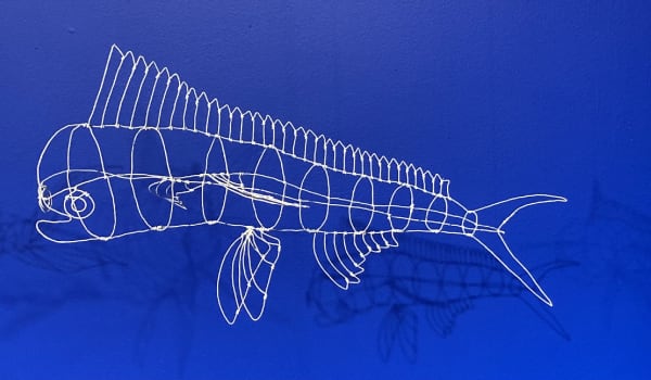 Nina Katchadourian, Female Dorado, 2020