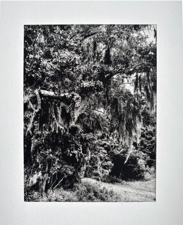 Trina Michelle Robinson, Welcoming St. Helena Island I, 2022