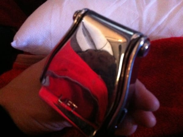 Nina Katchadourian, Bucklehead #6, 2011