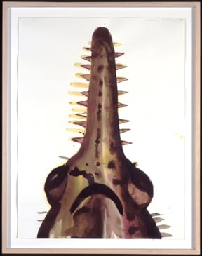 Alexis Rockman, Untitled (Swordfish), 1987