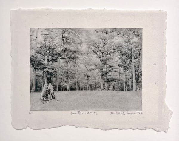 Trina Michelle Robinson, Boone Trace, 2022