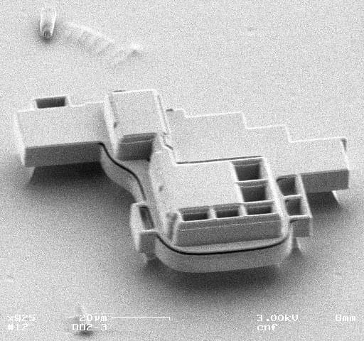 Ken Goldberg, flw, 1996