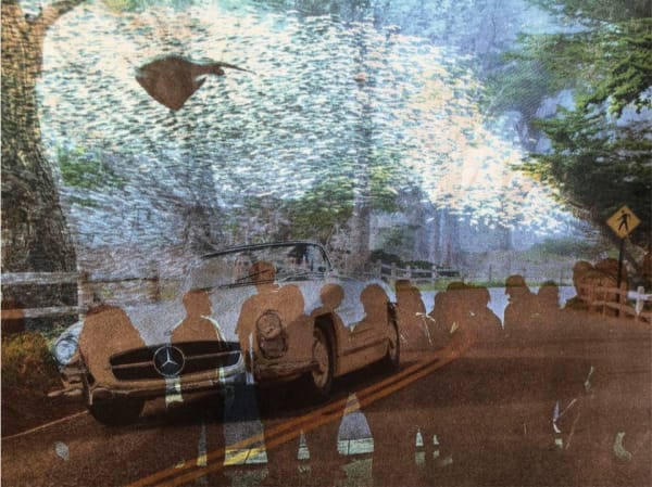 Nina Katchadourian, Swarm ("Seat Assignment" project, 2010-ongoing), 2016